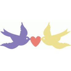 love birds