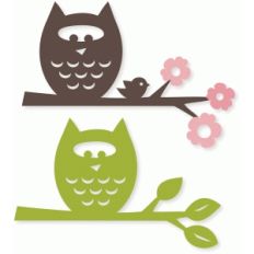 owl branches