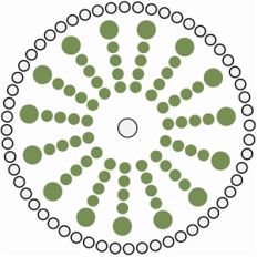 rhinestone radial design