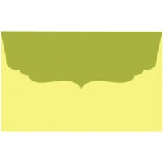 scallop envelope