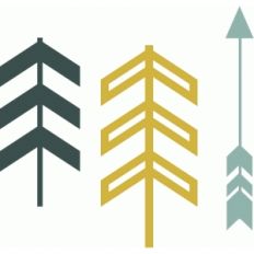 echo park arrows