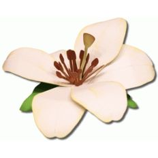 3d lily flowers