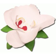3d orchid flowers
