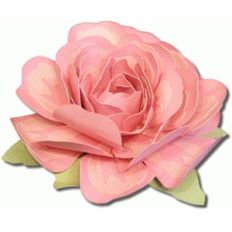 3d layered rose
