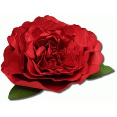 3d carnation flower