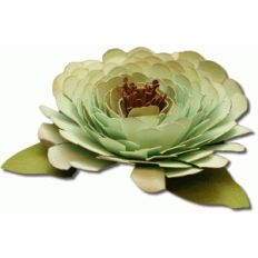 3d aster flower