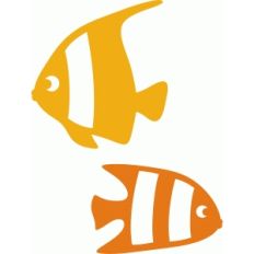 ornamental fish