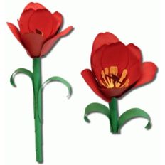 3d tulip flower