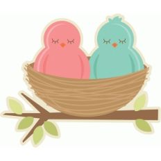 birds in nest