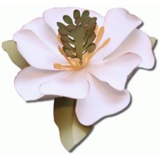 3d magnolia flower