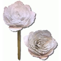 3d ranunculus v2