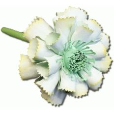 3d coreopsis flower