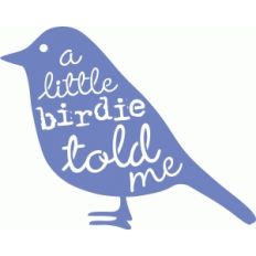 little birdie