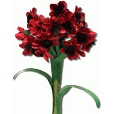 3d ixora flower