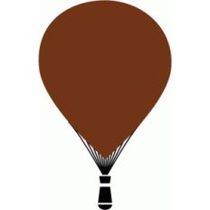 hot air balloon