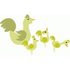 mama and baby chicks