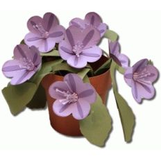 3d petunia plant