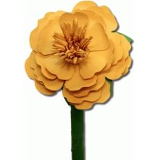 3d marigold