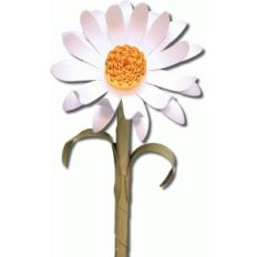 3d daisy
