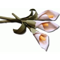 3d calla lilies