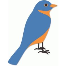 bluebird