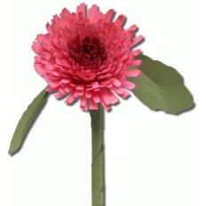 3d calendula