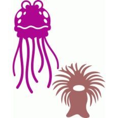 jellyfish and anemone