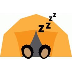 bear sleeping in tent