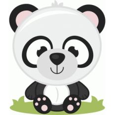 baby panda