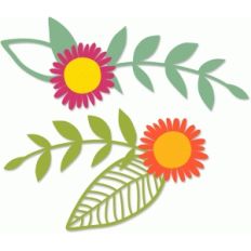 gerbera daisy flourishes