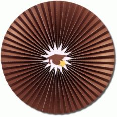 3d graduation accordion wall circle