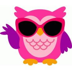 owl chic