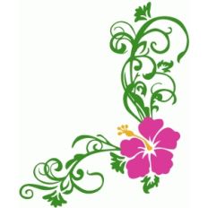 hibiscus corner
