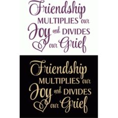 friendship multiplies