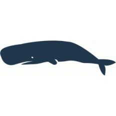 whale
