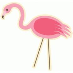 flamingo