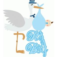it's a boy title