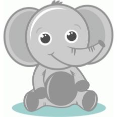 baby elephant