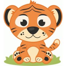 baby tiger