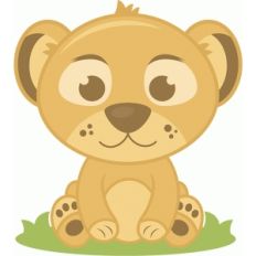 baby lion
