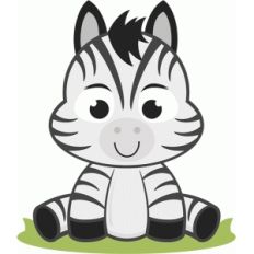 baby zebra