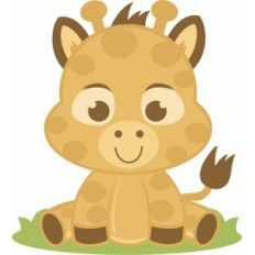baby giraffe