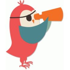 pirate owl