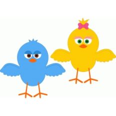 couple birds