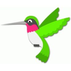 hummingbird