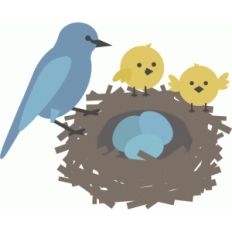 bird nest