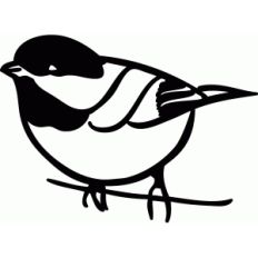 chickadee