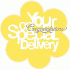 special delivery