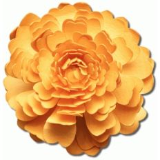 3d elle tea rose