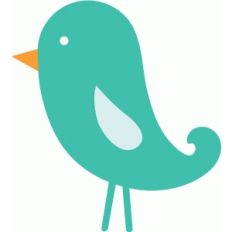 ep bird